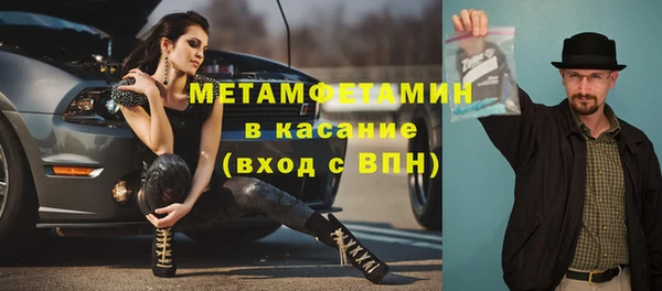 гидра Няндома