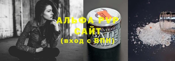 гидра Няндома
