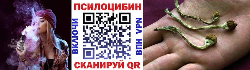 Галлюциногенные грибы Magic Shrooms  Аркадак 